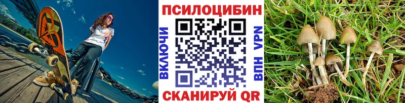 купить  цена  Артёмовский  Псилоцибиновые грибы GOLDEN TEACHER 